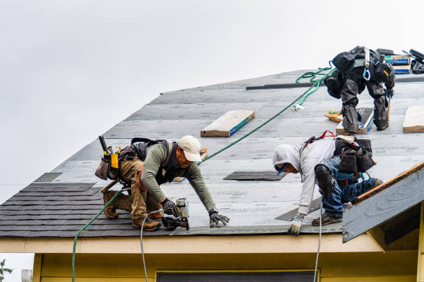 Professional Storm Damage Roof Repair technician working in Franklinville, NJ